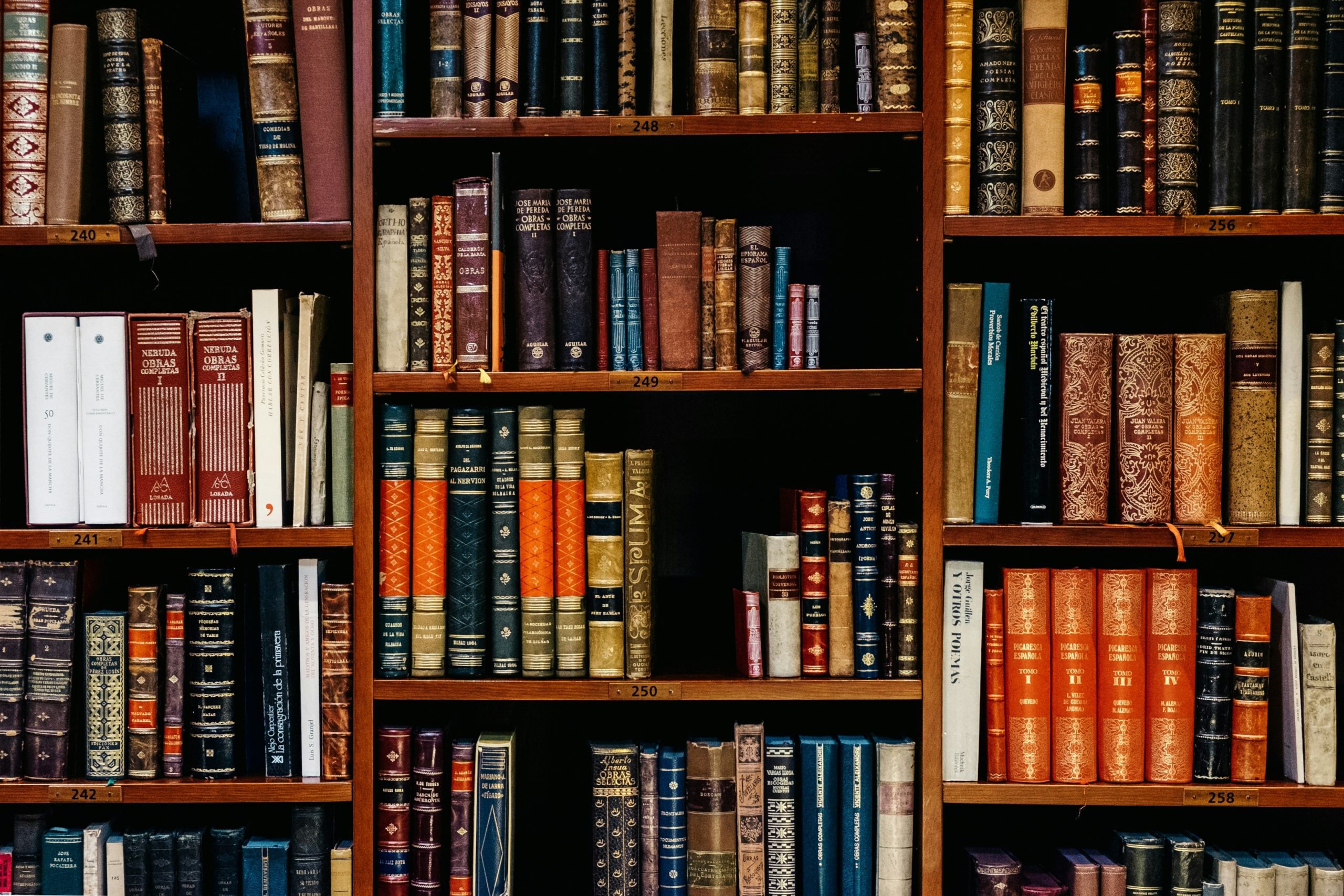 Books placed neatly in bookshelves.