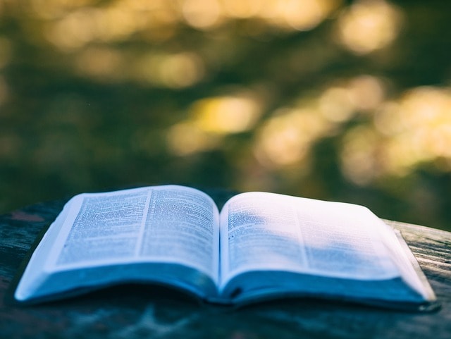 An open book on a wooden surface.