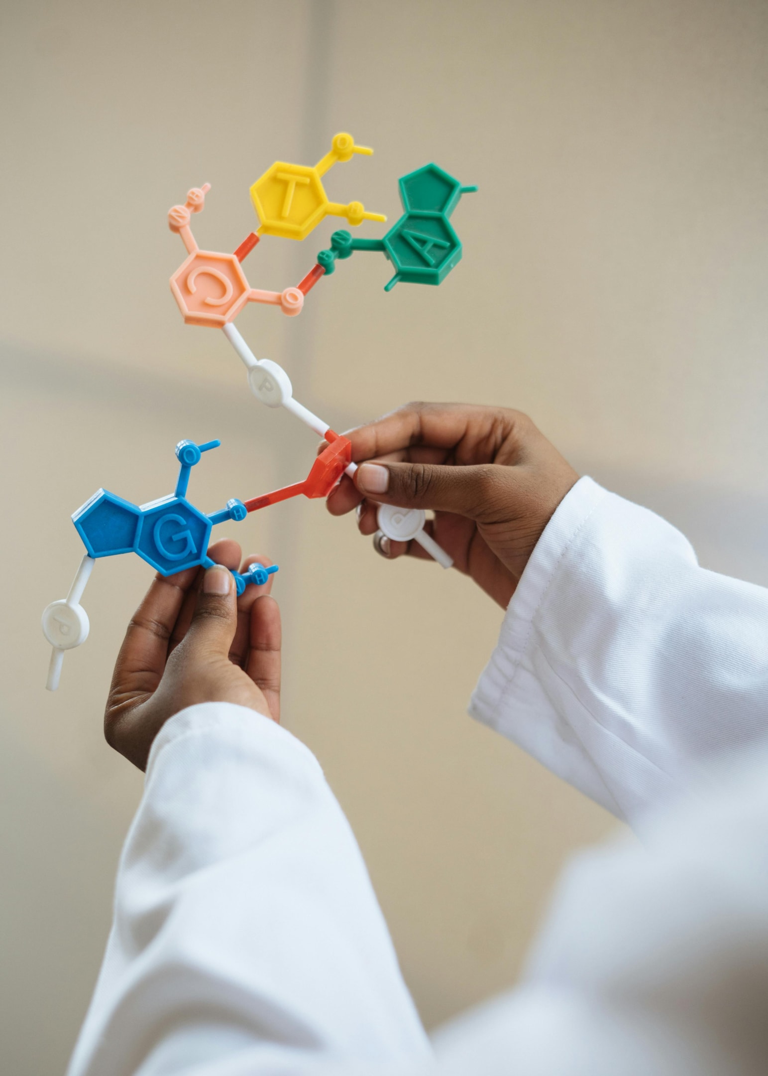 A person holding a coloured molecule model. 