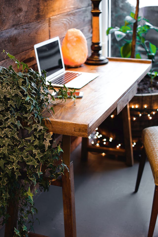 A lone laptop sits on a desk with plants and a Himalayan salt lamp next to it. 