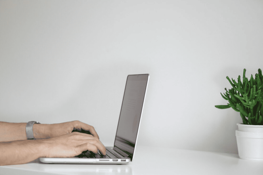 A person typing on a laptop which has a plant behind it.