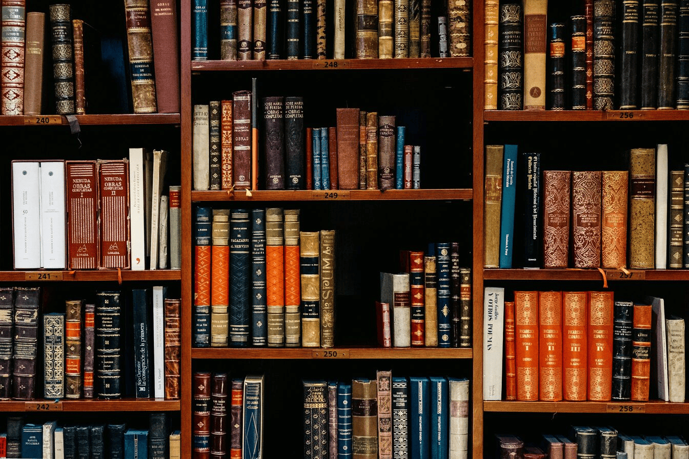 Lots of books in library shelves.