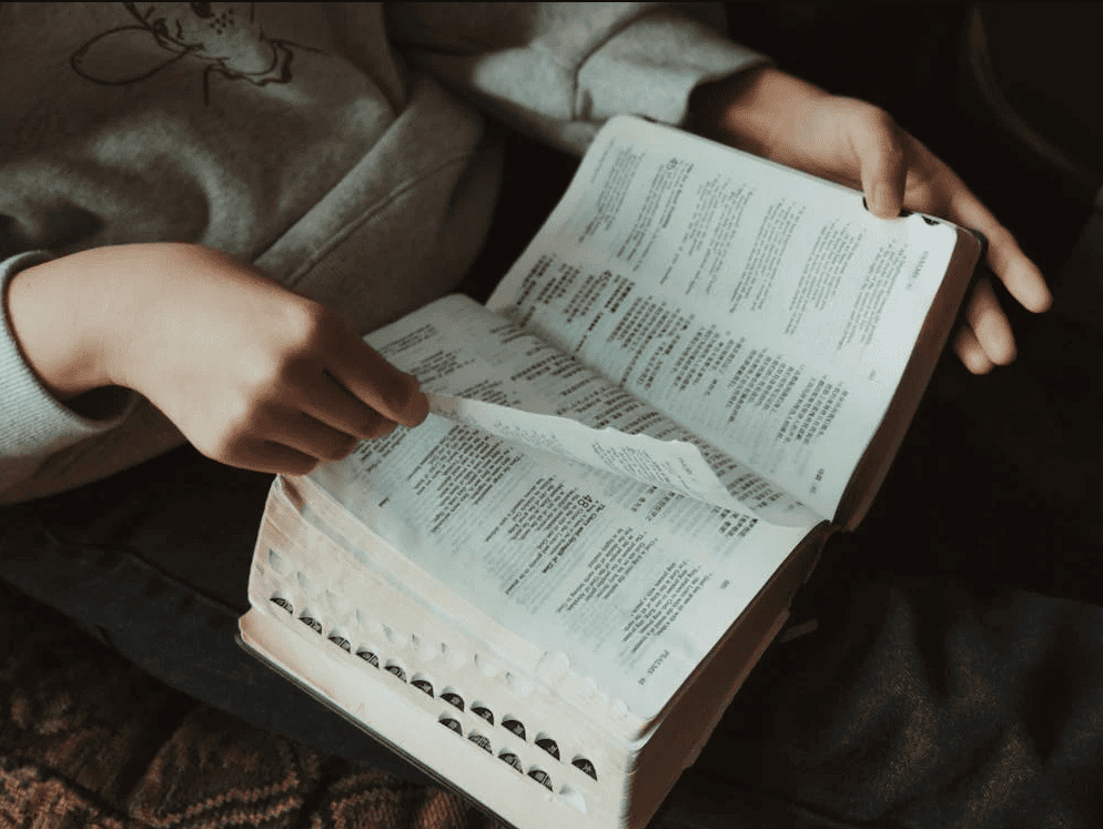 Mani che tengono un libro di referenze.