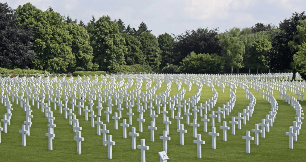 Cemetery near green trees filled with white crosses. 